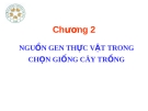 Bài giảng Chương 2: Nguồn gen thực vật trong chọn giống cây trồng