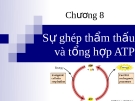 Bài giảng Chương 8: Sự ghép thẩm thấu và tổng hợp ATP