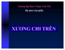 Bài giảng Xương chi trên - ĐH Y Dược Cần Thơ