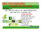 Đề tài: Sự chuyển hóa các hợp chất lưu huỳnh của vi sinh vật