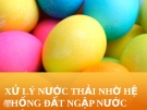 Đề tài: Xử lý nước thải nhờ hệ thống đất ngập nước