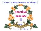 Bài giảng Giải phẫu sinh lý trẻ em: Bài mở đầu - Thân Thị Diệp Nga
