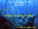 Bài giảng Động vật không xương: Ngành thân lỗ - GV. Điền Huỳnh Ngọc Tuyết
