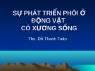 Bài giảng Sự phát triển phôi ở động vật có xương sống - ThS. Đỗ Thanh Tuấn