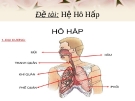 Đề tài: Hệ hô hấp