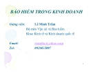 Bài giảng Bảo hiểm trong kinh doanh -  Lê Minh Trâm 