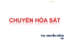 Bài giảng Chuyển hóa sắt - ThS. Nguyễn Hồng Hà