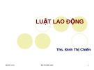 Bài giảng Luật lao động - Đinh Thị Chiến