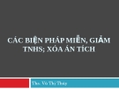 Bài giảng Luật Hình sự: Bài 15 -  ThS. Vũ Thị Thúy