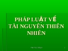Bài giảng Luật Môi trường: Chương III - Phan Thị Tường Vi