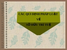 Bài giảng Luật Sở hữu trí tuệ: Các qui định pháp luật về sở hữu trí tuệ