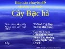 Báo cáo chuyên đề: Cây bạc hà