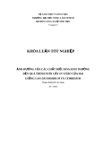 Khóa luận tốt nghiệp: Ảnh hưởng của các chất điểu hòa sinh trưởng đến quá trình nuôi cấy In Vitro của hai giống lan Dendrobium và Cymbidium