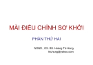 Bài giảng Màn điều chỉnh sơ khởi: Phần thứ hai - NGND.GS.BS. Hoàng Tử Hùng