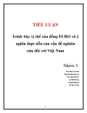 Tiểu luận: Trình bày vị thế của đồng EURO và ý nghĩa thực tiễn của vấn đề nghiên cứu đối với Việt Nam