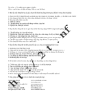Câu hỏi ôn tập môn Thương mại điện tử – Câu hỏi Matching