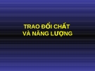 Bài giảng Trao đổi chất và năng lượng