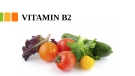 Thuyết trình Vitamin B2