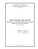 Báo cáo khoa học: Nghiên cứu các tiêu chuẩn kỹ thuật truyền hình di động dựa trên công nghệ 3G