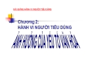 Bài giảng Hành vi người tiêu dùng: Chương 2