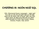 Bài giảng Quản trị cơ sở dữ liệu - Chương 3: Ngôn ngữ SQL