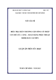 Luận án Tiến sĩ Y học: Điều trị chấn thương cột sống cổ thấp cơ chế cúi - căng - xoay bằng phẫu thuật Bohlman cải tiến