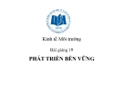 Bài giảng Kinh tế Môi trường: Bài giảng 19