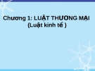 Bài giảng Luật kinh tế - Chương 1: Luật thương mại