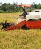 Sáu đột phá phát triển nông nghiệp