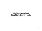 Bài giảng Đồ họa máy tính: Các phép biến đổi 3 chiều