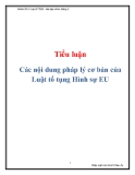 Tiểu luận: Các nội dung pháp lý cơ bản của luật tố tụng hình sự EU