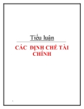 Tiểu luận: Các định chế tài chính