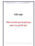 Tiểu luận Tài chính tiền tệ: Phân tích mối quan hệ giữa lạm phát và tỷ giá hối đoái
