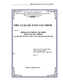 Tiểu luận: Trình bày thông tin trên báo cáo tài chính (Áp dụng đối với đơn vị có đơn vị trực thuộc hạch toán độc lập)
