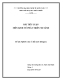 Tiểu luận Kinh tế phát triển so sánh: Nghiên cứu về đất nước Hungary