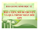 Bài giảng Sinh học 12 bài 1: Gen, mã di truyền và quá trình nhân đôi ADN