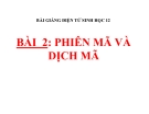 Bài giảng Sinh học 12 bài 2: Phiên mã và dịch mã