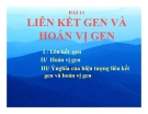 Bài giảng Sinh học 12 bài 11: Liên kết gen và hoán vị gen