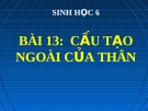 Bài giảng Ảnh hưởng của môi trường lên sự biểu hiện của gen - Sinh 12