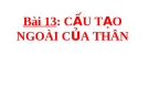 Bài 13: Ảnh hưởng của môi trường lên sự biểu hiện của gen - Bài giảng Sinh 12