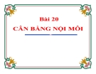 Bài giảng Sinh học 11 bài 20: Cân bằng nội môi