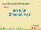 Bài giảng Sinh học 11 bài 17: Hô hấp ở động vật