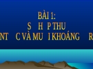 Bài giảng Sinh học 11 bài 1: Sự hấp thụ nước và muối khoáng ở rễ