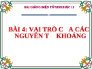 Bài giảng Sinh học lớp 11 bài 4: Vai trò của các nguyên tố khoáng