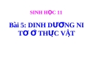 Bài giảng Sinh học 11 bài 5: Dinh dưỡng nitơ ở thực vật