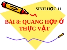 Bài giảng Quang hợp ở thực vật - Sinh 11