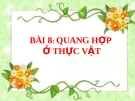 Slide bài Quang hợp ở thực vật - Sinh 11 - GV.Phạm A.Thắng