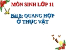 Bài 8: Quang hợp ở thực vật - Bài giảng Sinh 11