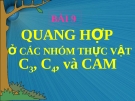 Bài giảng Sinh học 11 bài 9: Quang hợp ở các nhóm thực vật C3, C4 và CAM