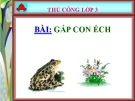 Bài 3: Gấp con ếch - Bài giảng Thủ công 3  - GV:L.P.Lam